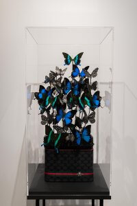 Beauty Butterfly II- Madame Butterfly by Carolien Bosch