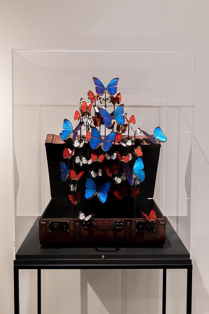 Red Splash Butterfly I- Madame Butterfly by Carolien Bosch
