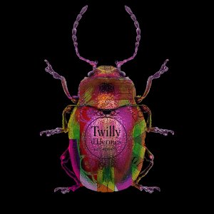 Lucky Beetle Twilly – Blitsz by Mascha