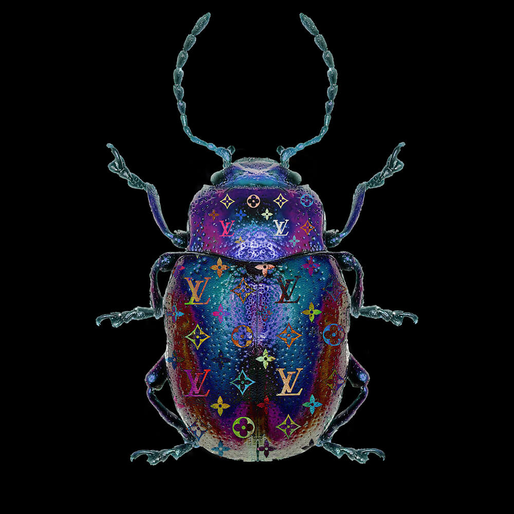 Lucky Beetle Louis – Blitsz by Mascha