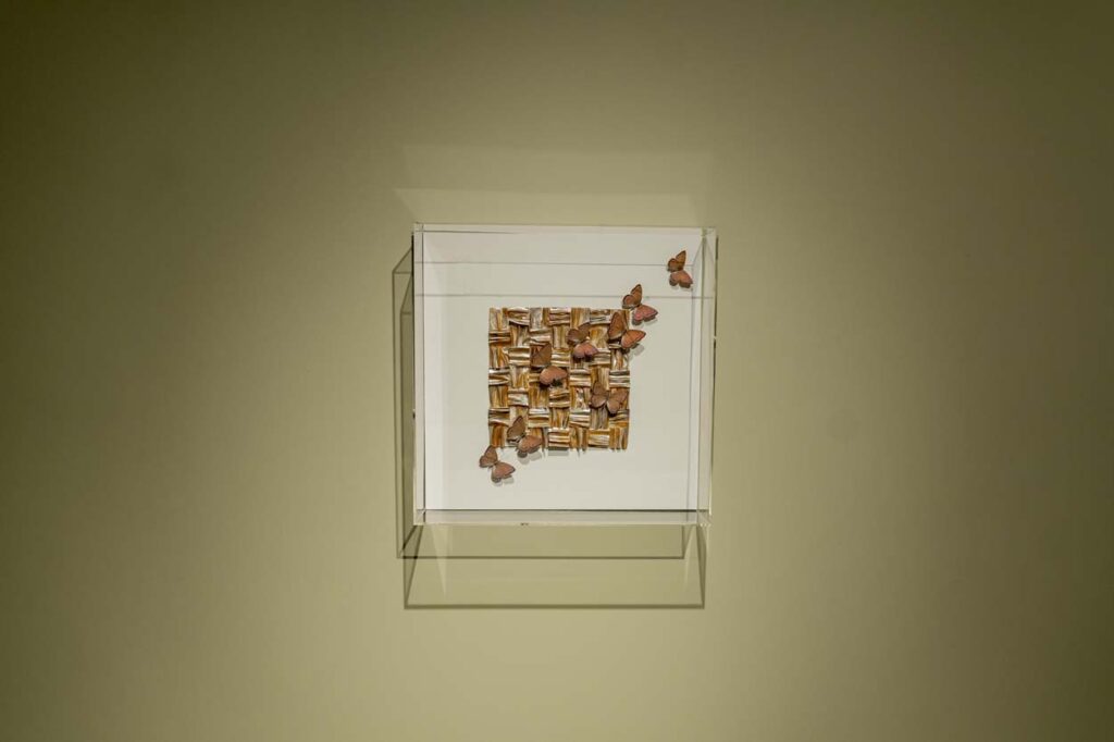 Abalone – Carolien Bosch